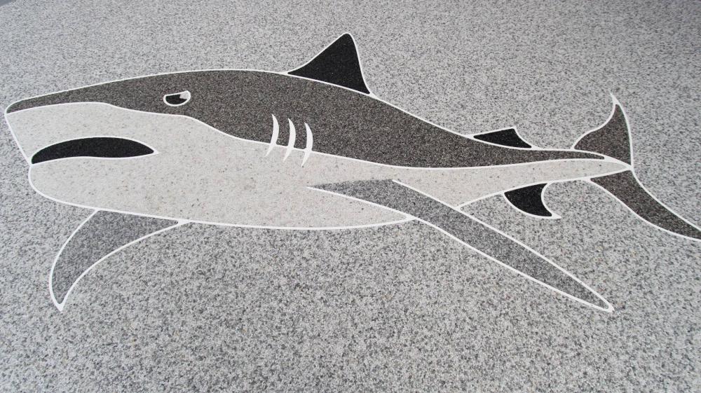 Terrasse requin
