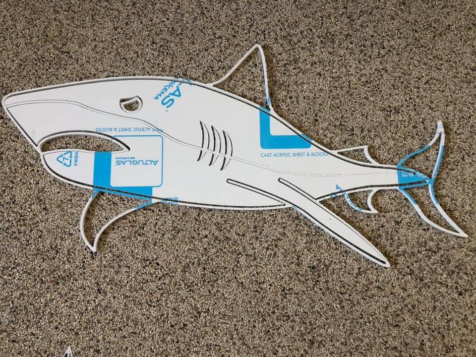 Requin pose